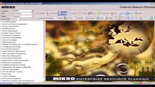 01.007 IN MIKRO ERP : HOW TO RESET THE FONT SETTING TO DEFAULT screenshot 3