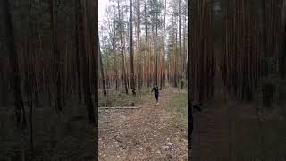 Осваиваю технику бега с палками #shortvideo #short