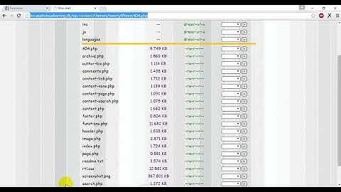 How To Upload Shell Script In WordPress Website (Plugin & Theme Editor)