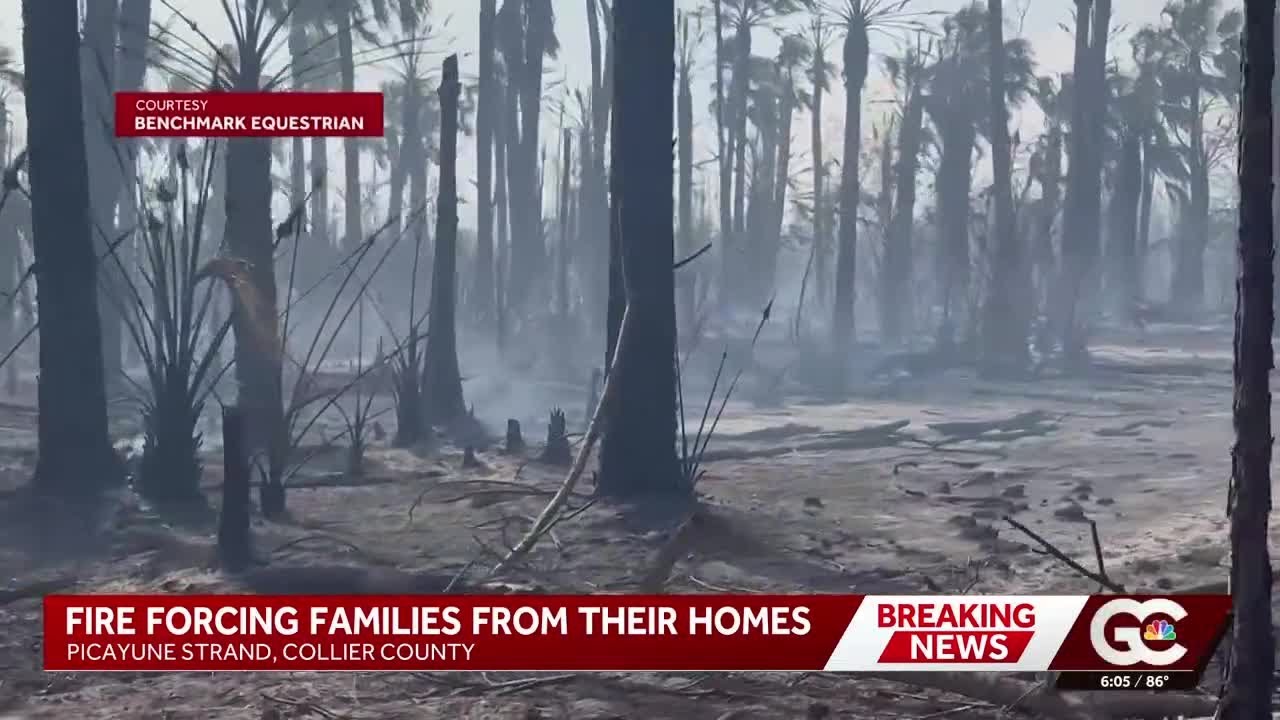 Picayune Strand brush fire grows to 1,650 acres, evacuations ordered in ...