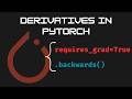 M1 | L16 | Derivatives in Pytorch