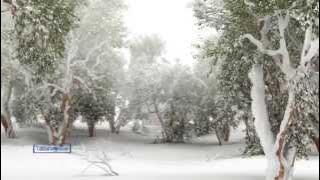 Paul Mauriat - Tombe La Neige... @TatianaBlue