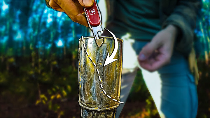 Amazing Camping Skills and Survival HACKS in the wild
