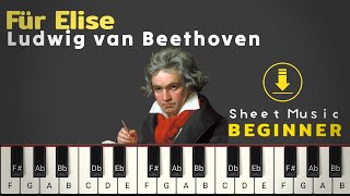 Für Elise - Ludwig Van Beethoven | Piano Beginner Tutorial (Sheet Music)