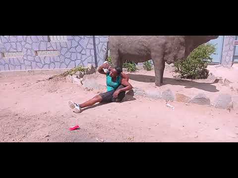 Nyanda Masumbuko Bhutemi Colas 