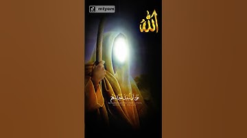 كلا إنا خلقناهم مما يعلمون سورة المعارج  تلاوة خاشعة😌