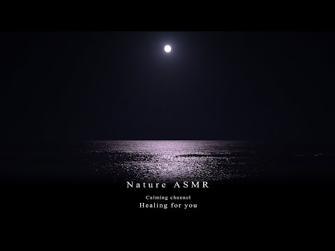 마음을 위로해줄 달빛 밤 바다, 차분하고 잔잔한 밤바다 파도 소리 ASMR