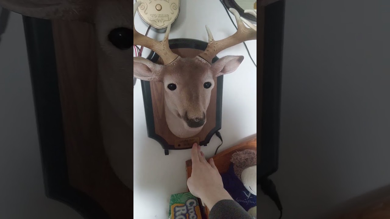 Animated Singing talking Jonathan Deer the III wall mount. - YouTube
