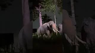 Singapore Night Safari #trip #mandai