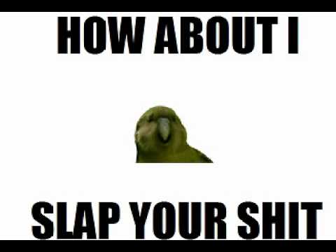 HOW BOUT I SLAP YOUR SHIT HOW BOUT I SLAP YOUR SHIT