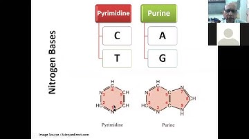 Lecture 2 : Nucleic Acids