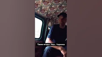 Как в Карпатах называют чернику? #карпати #ягоди #подорожіукраїною