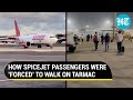 'No bus for...': SpiceJet passengers walk on Delhi Airport tarmac; 'Poor show' despite DGCA action