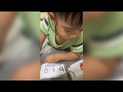 Early reader cvc