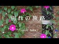 別れの旅路 美川憲一 cover haku