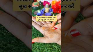 सोमवार को चावल का महाउपाय सुख समृद्धि के लिए जरूर करें #ytshorts #upay #short #pradeepmishra