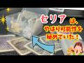 【セリア購入品】やはり可能性を秘めていた!ついに見つけた!テンション爆上がりな貯金ケース! #セリア #貯金 #seria購入品
