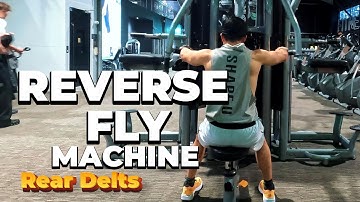 Reverse Fly Machine: Why You NEED This Gym Tool