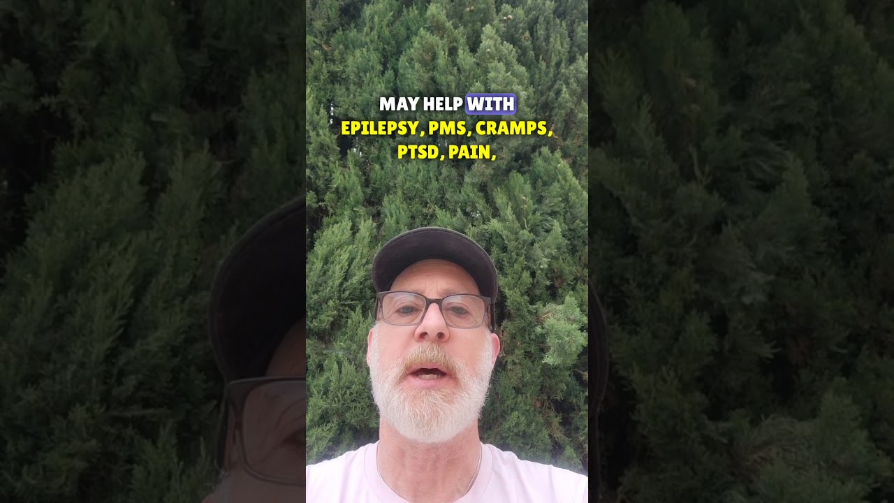 White Durban - sativa dominant. 