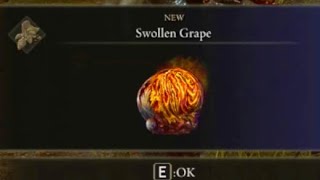 Where to find Swollen Grape in Elden Ring: Shadow of the Erdtree