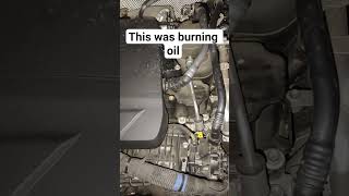 Download Lagu had to put some 5w 20 in MP3