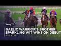 Gaelic Warrior's brother Sparkling Wit makes winning debut | Full Race | 2026 | Racing TV