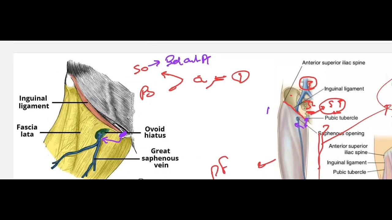 فيديو حل quiz 1 msk-1 (102)