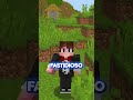 il mob più utile di Minecraft