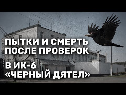 Пытки, издевательства и смерть после проверок в ИК-6