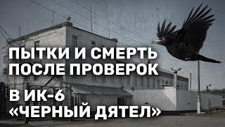 Пытки, издевательства и смерть после проверок в ИК-6