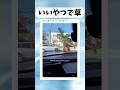 割と大事に扱っててワロタ #shorts #おすすめ #すごい #おもしろ #海外 #ポケモン#ポケカ#車#クラクション