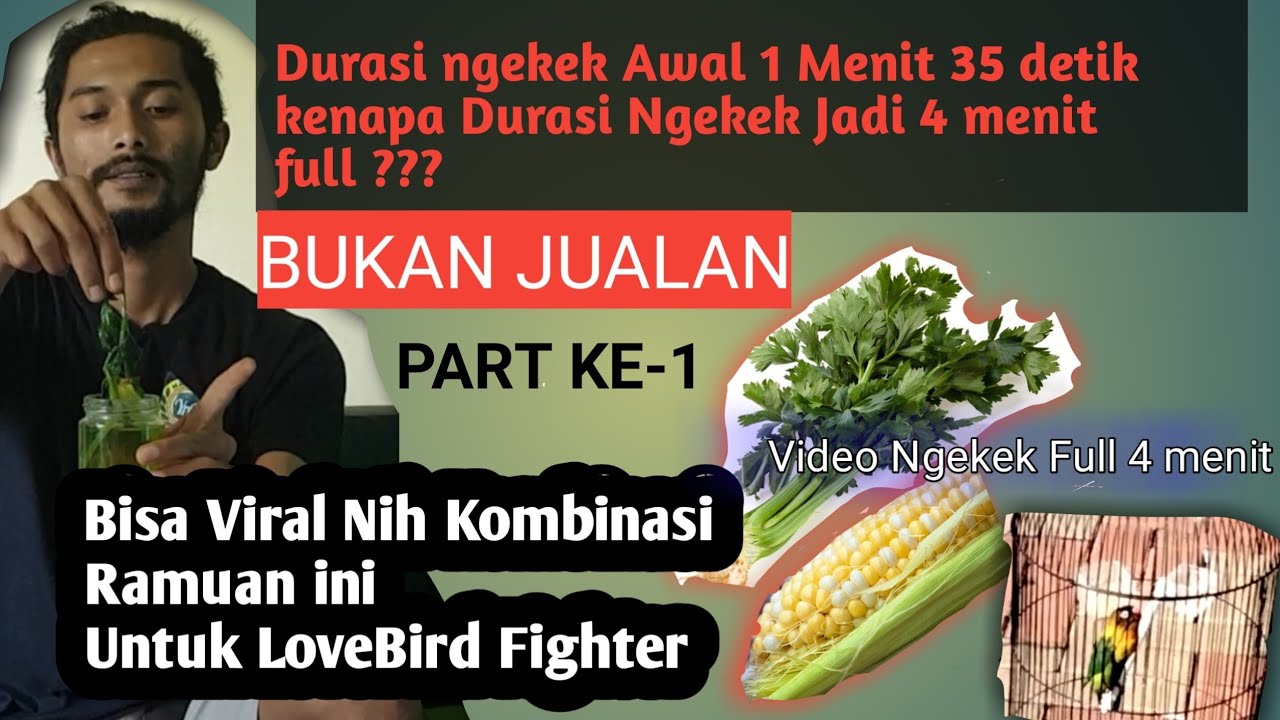 Этот водный раствор предназначен для увеличения продолжительности действия Lovebird Fighter.