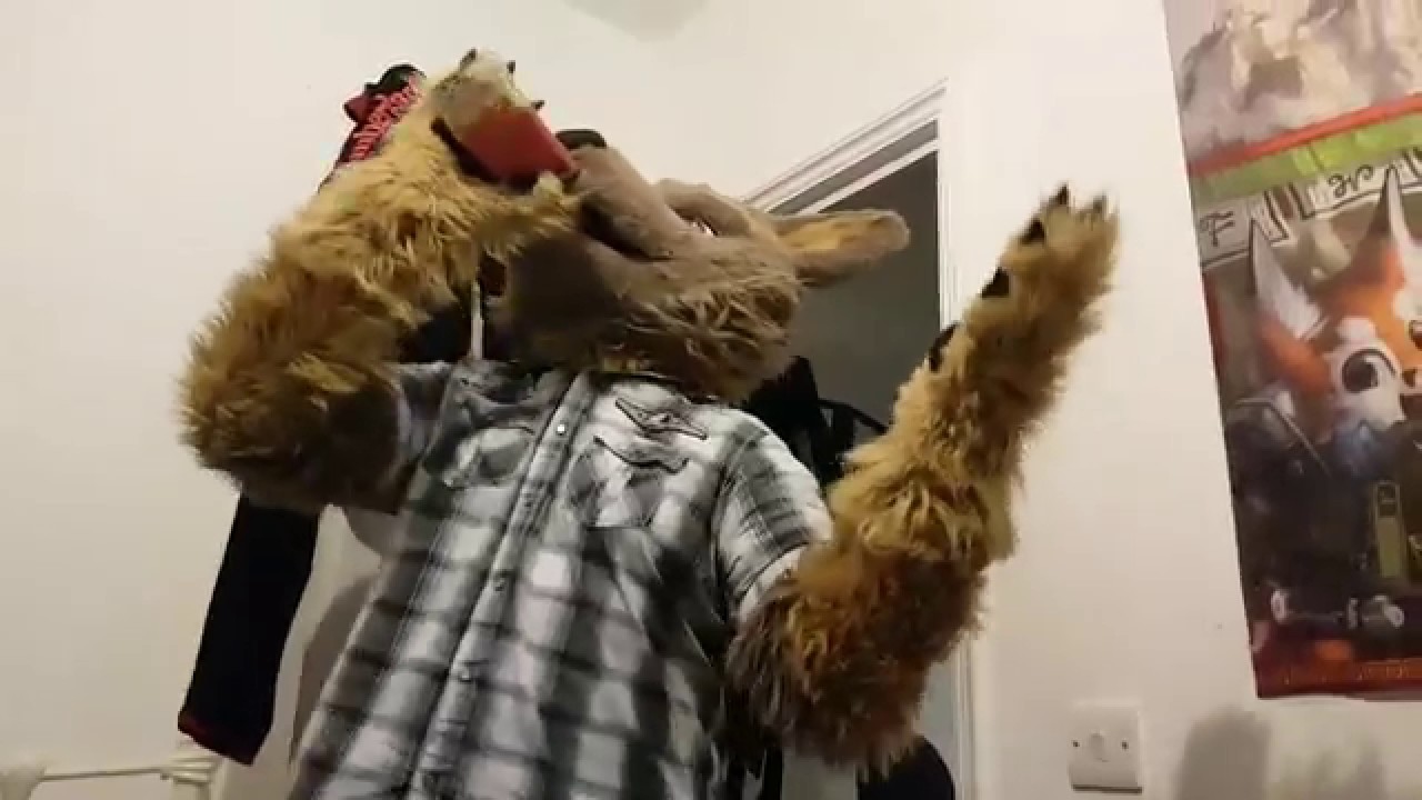 I'M LEAVING THE FURRY FANDOM!