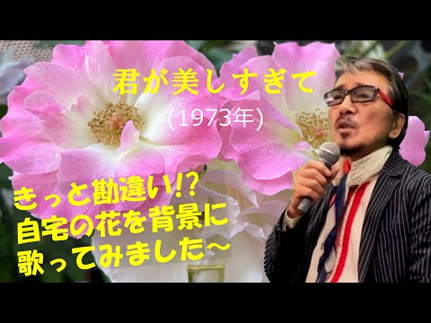 「君が美しすぎて」 字幕付きカバー 1973年 千家和也作詞 馬飼野俊一作曲 野口五郎 若林ケン 昭和歌謡シアター　～たまに平成の歌～