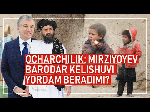 Video: Chernobil Boshidan AQShga Yangi Hayot Boshlash Uchun 12 Ta Kuchukcha Qutqarildi