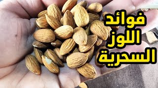 تعرف على فوائد اللوز 17 فائدة للوز والامراض التى يعالجها هذا الكنز الغذائى ؟؟