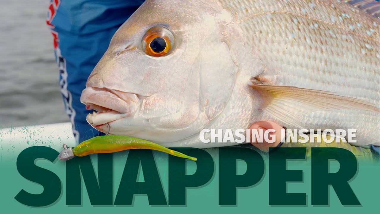 AJING FISHING, CATCHING MANGROVE SNAPPERS USING SUPERCONTINENT SOFT LURE