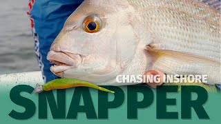 How to Catch Snapper on Soft Plastics - Inshore Snapper Fishing with ZMan Jerk Bait Plastics screenshot 5