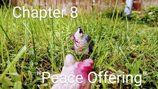 Rising Storm | Chapter 8 "peace Offering" |