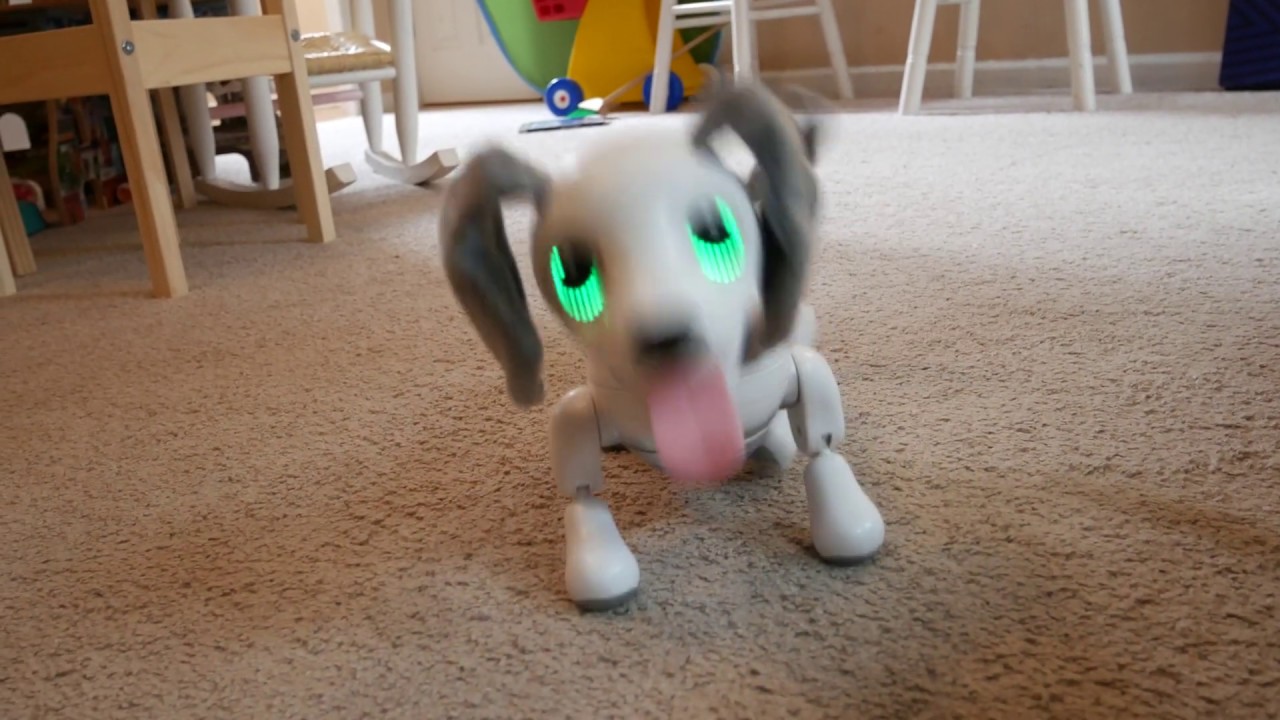 Funny Malfunctioning Robot Dog. Hilarious and Crazy. 4K