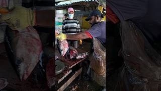 15 kg Kelawalla fish cutting skill ?????  fishingvideo fish todayworld