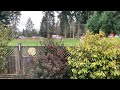The Car Accident 5 November 17 2024 The Car Accident 5 November 17 2024