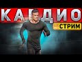 КАРДИО НОВЫЙ ТРЕНАЖЕР + ОТВЕТЫ НА ВОПРОСЫ, ВСЕ О ПОДГОТОВКЕ !ТЕЛЕГА