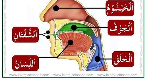 تعلم قراءة القرآن و قواعد التجويد -صفات الحروف- الصفات التي ليس لها ضد