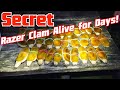 Washington State Razor Clamming | Keep A Week Alive Secret | Night Digging Skills | Crunchy Recipe