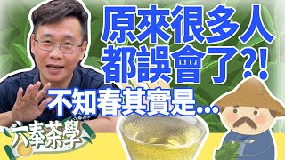 【六奉茶學】原來很多人都誤會了?!到底甚麼是不知春?不知春是四季春嗎?