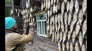 Тым. Путешествие в центр России. Селькупы, самая большая рыба и комарыубийцы