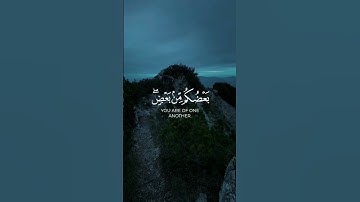 سورة ال عمران بصوت جميل فاستجاب لهم ربهم ماهر المعيقلي #quran