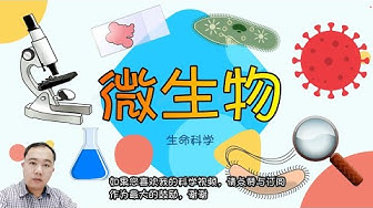 微生物 Youtube