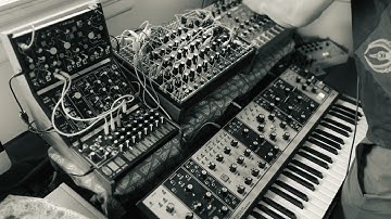 Full Moon // Soma Pulsar-23, Lyra-8, Make Noise Strega and 0-Coast